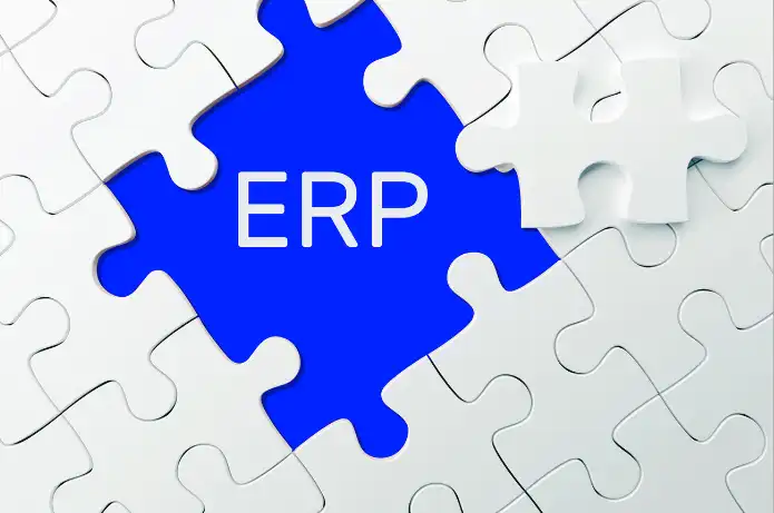 Lojas online devem investir em ERP, diz especialista Lojas online devem investir em ERP, diz especialista