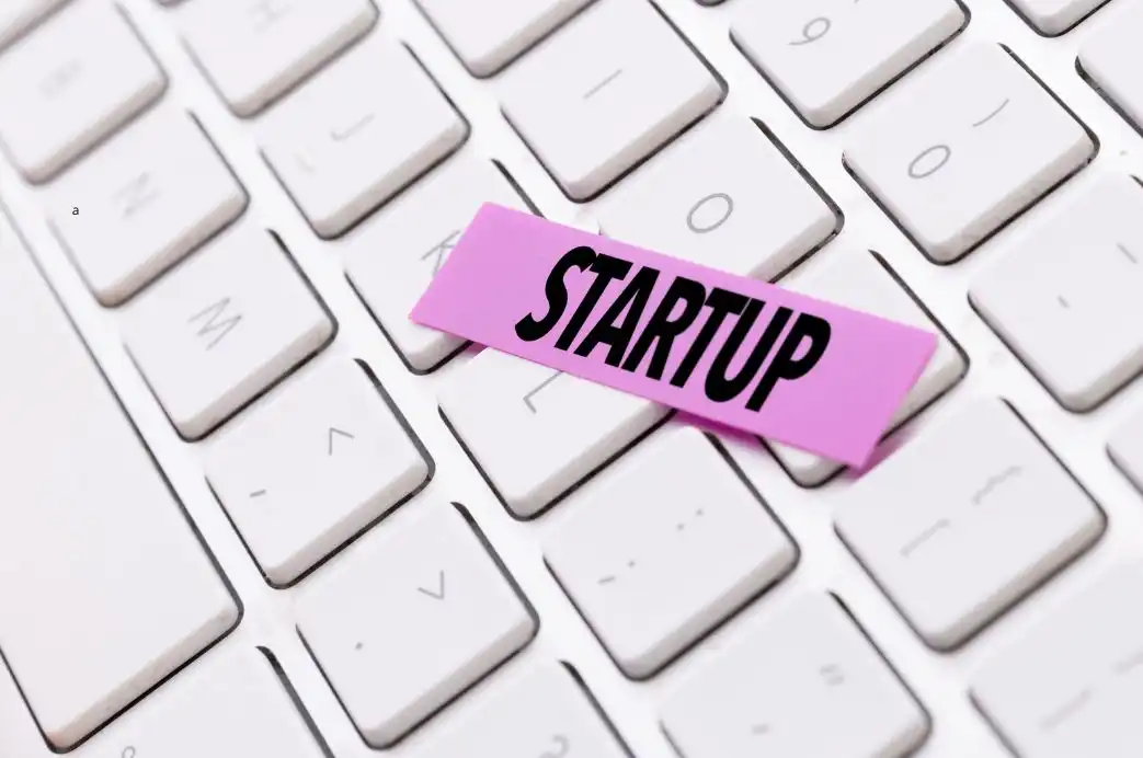 startup (1)