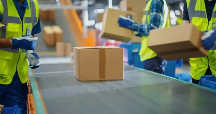 Factory,Employees,Placing,Boxes,With,Products,On,An,Automated,Production